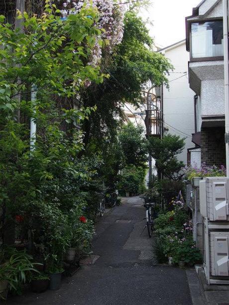 P5030051 樋口一葉を育んだ街，本郷元菊坂町 / Tokyo,Hongo   associated with Ichiyo Higuchi