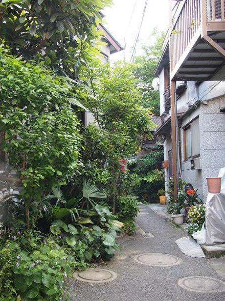 P50300101 樋口一葉を育んだ街，本郷元菊坂町 / Tokyo,Hongo   associated with Ichiyo Higuchi