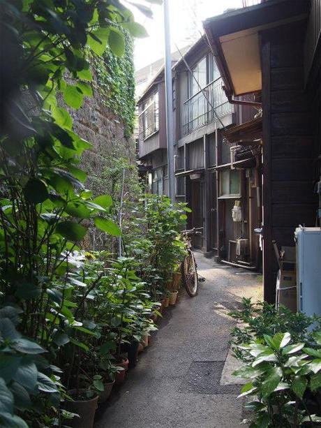 P5030029 樋口一葉を育んだ街，本郷元菊坂町 / Tokyo,Hongo   associated with Ichiyo Higuchi