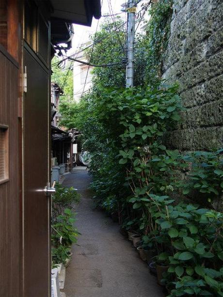 P5030035 樋口一葉を育んだ街，本郷元菊坂町 / Tokyo,Hongo   associated with Ichiyo Higuchi
