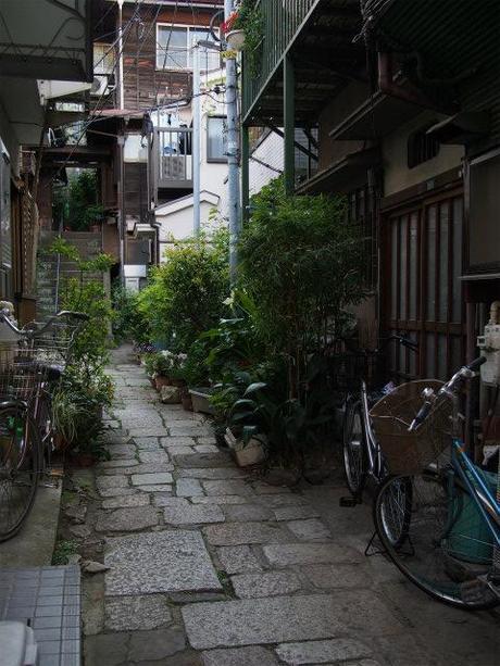 P5030042 樋口一葉を育んだ街，本郷元菊坂町 / Tokyo,Hongo   associated with Ichiyo Higuchi