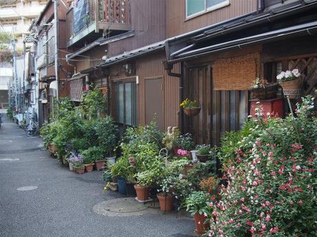 P5030055 樋口一葉を育んだ街，本郷元菊坂町 / Tokyo,Hongo   associated with Ichiyo Higuchi