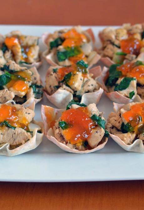 Asian Spiced Chicken in Wonton Cups 