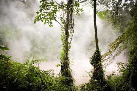 December Laag: Lake Agco, Mt. Apo Natural Park