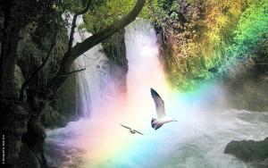rainbow-over-banias-waterfall-x-widescreen-wallpaper-3d-abstract_widewallpaper_rainbow-over-banias-waterfall_39414