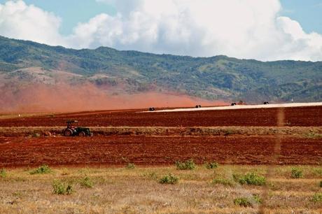 Dust drift from tilling on a Dow Agrosciences field in Kauai. Many island residents are concerned about the health and environmental impact of the large volumes of pesticides being used in fields being cultivated by biotech companies. Photo by Samuel Morgan Shaw