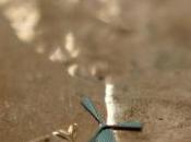 Tiny Micro-Robotic Windmill Recharges Phone Batteries
