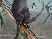 Efforts Most Important