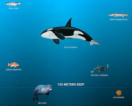 10 Top Useless Websites to Visit When Bored