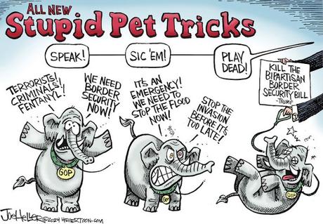 Stupid Pet Tricks