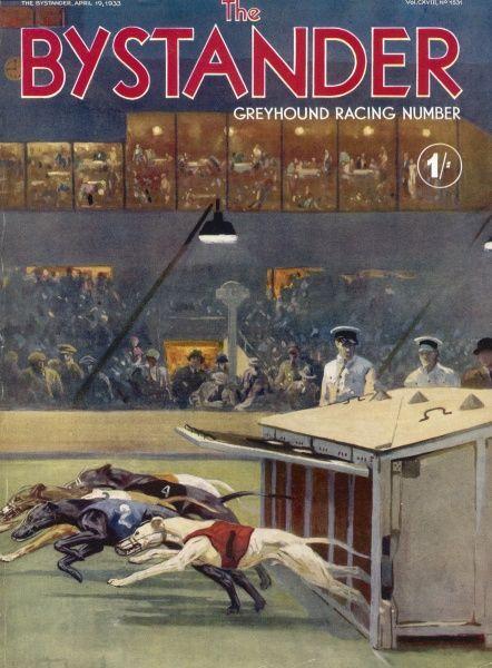 Mastering Greyhound Racing: Betting Strategies for Success