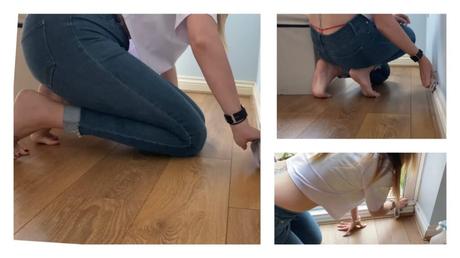 Discovering the depths of the ocean: Introducing the Whaletailforum community