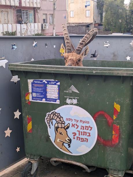 Picture of the Day Picture of the Day