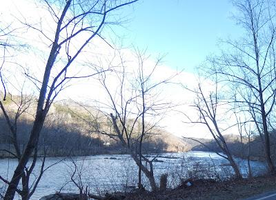 Winter Trees and the French Broad River