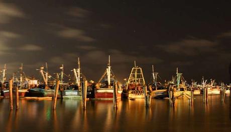 Royapuram Fishing Harbor is one of the best tourist attractions in Chennai for travelers