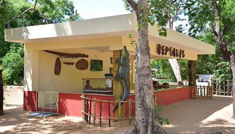 Madras Crocodile Bank Trust is the best place in Chennai sightseeing