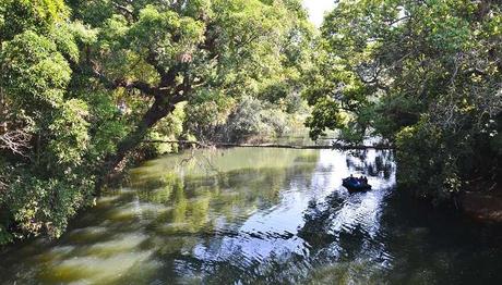 Kaveri Nisargadhama is one of the best places to visit in Coorg in May