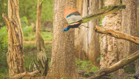 Nagarghol National Udhaan