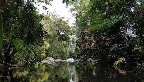 One of the best sightseeing places in Coorg is Virajpet