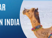 Popular Honeymoon Destination India