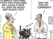 Qualified Congressman