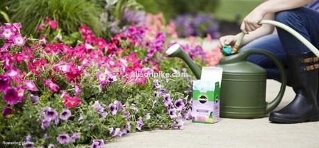 What is the best fertilizer for flowering plants?