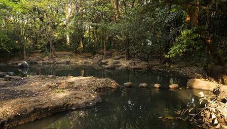 One Day Trip Near Pune For Couples For A Romantic Getaway A grand view of Osho Garden adorned with lush greenery and picturesque landscape