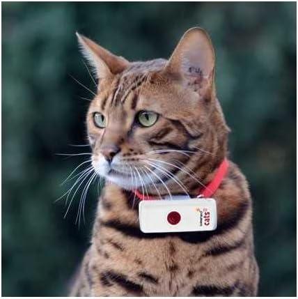 Weenect Cats 2 GPS Tracker for Cats