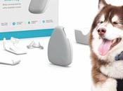 Best Trackers Cats- Time Stop Playing Hide Seek with Your