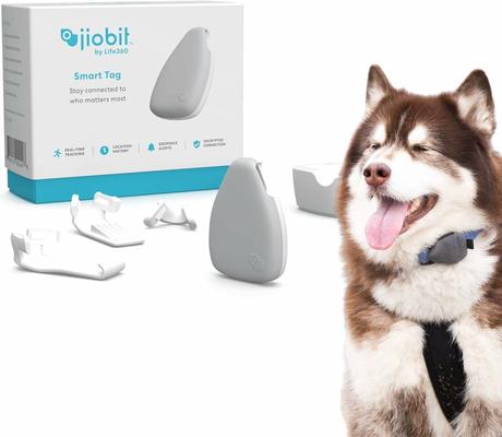 Jiobit - Smallest GPS Tracker for Cats