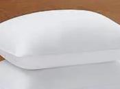 Tried Tested Best Hypoallergenic Pillows Allergies 2024
