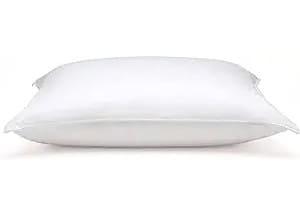 Tried and Tested 5 Best Hypoallergenic Pillows for Allergies in 2024 DOWNLITE Flat and Soft Down Hypoallergenic Pillow