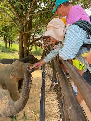 ELEPHANT SANCTUARY AT KOH SAMUI ISLAND, THAILAND, Guest Post by Tom Scheaffer