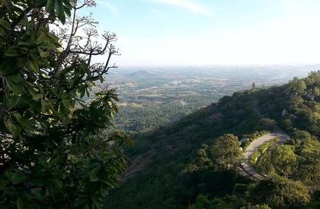 Amid lush green forests and caves