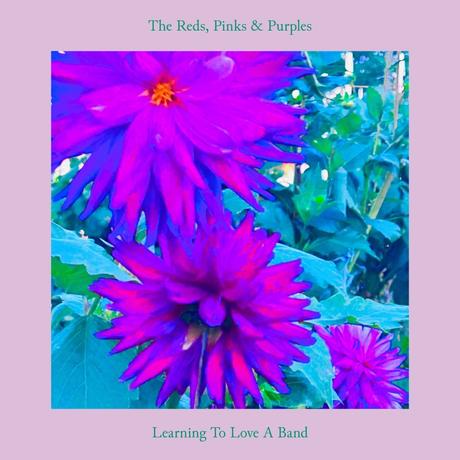 The Reds, Pinks & Purples – ‘Learning to Love a Band’