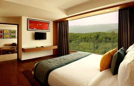 view from room in lemon tree