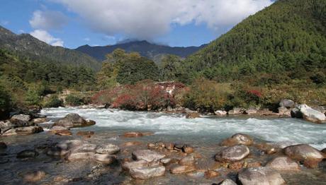 Jigme Dorji National Park