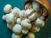 Friendly Mushroom Recipes
