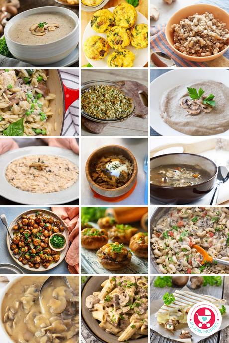 Whether your little ones are already fans of these mushrooms or this collection of 30+ kid-friendly mushroom recipes is designed to inspire.