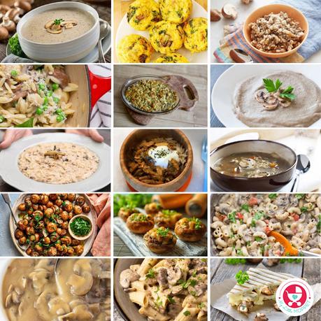 Whether your little ones are already fans of these mushrooms or this collection of 30+ kid-friendly mushroom recipes is designed to inspire.
