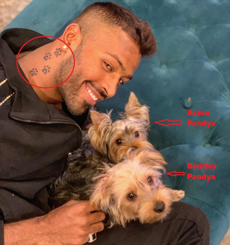 All 8 Hardik Pandya Tattoos With Deep Meaning 11 Hardik Pandya Paw Tattoo (Right Side Neck)