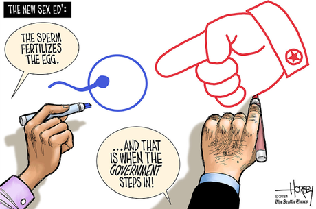 Then The Government Steps In