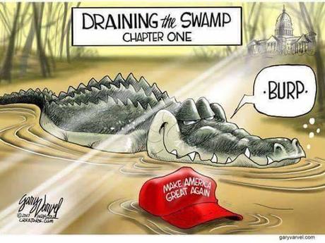 Draining The Swamp
