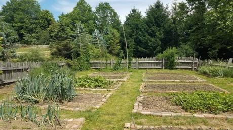 How to Cope with a Large Garden