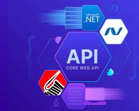 Asp net core web api with entity framework database 2024