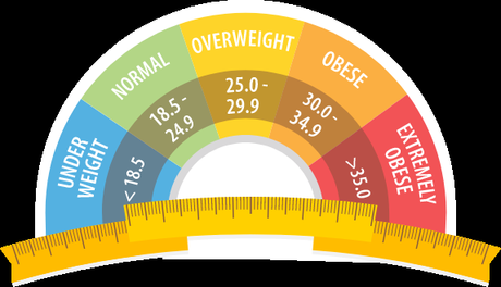 The Best Guide to Understand and Use a BMI Calculator