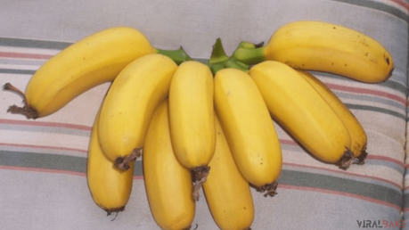 Check Out Different Colors Of Bananas You Might Never Seen Before