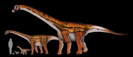 Titanosaurs were the largest land animals Earth has ever seen – these plant-powered dinosaurs combined traits of reptiles and mammals