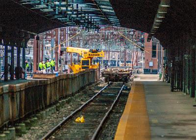 Synthesis, Antithesis, Birds