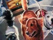 Homeward Bound Lost Francisco (1996) Movie Review